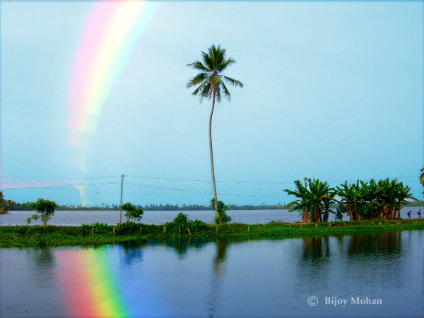 நெடுமுடி