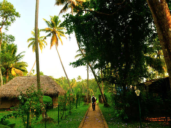 எங்கே செல்லும் இந்தப் பாதை?!