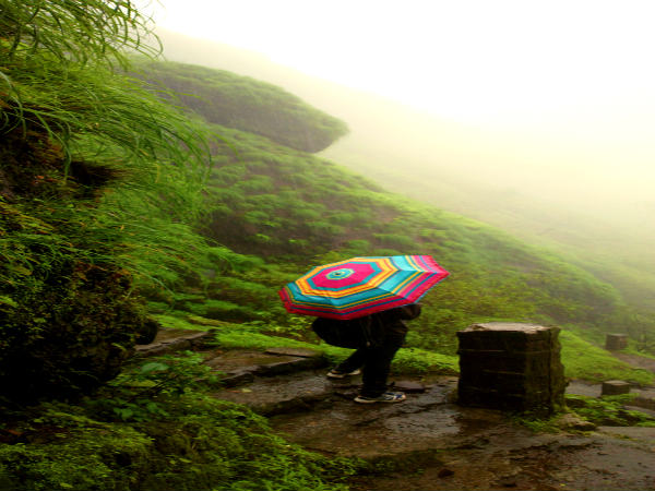 மழை ரசிகர்