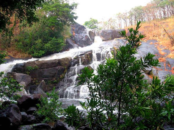 மீன்முட்டி அருவி மீன்முட்டி அருவி