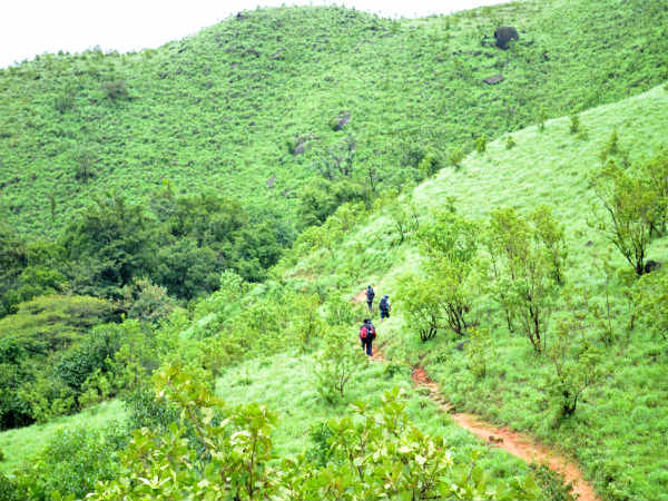 மலையிறக்கம்