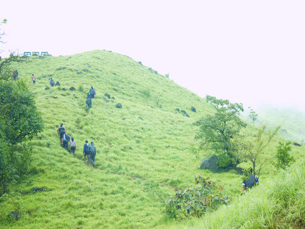 டிரெக்கிங் பாதைகள்