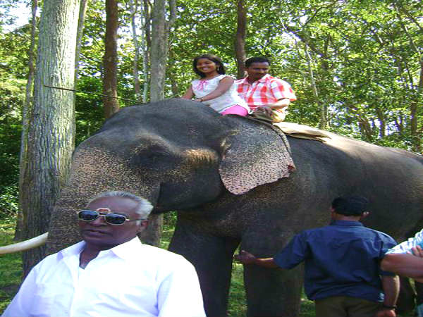 ஆனைமலை வனவிலங்கு சரணாலயம் மற்றும் தேசிய பூங்கா