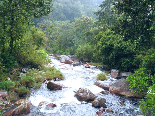 சின்னக்கல்லார் சின்னக்கல்லார்