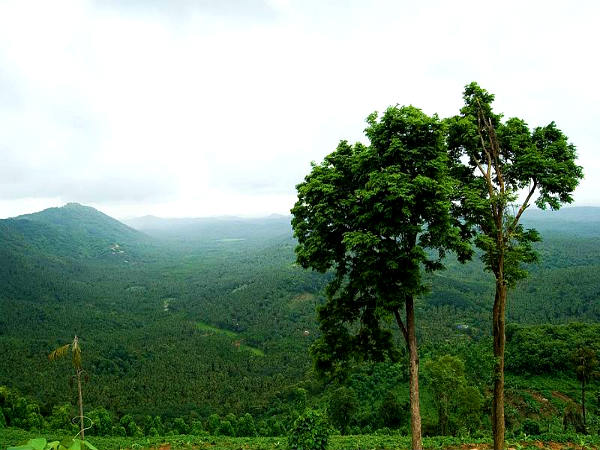 அரிம்பரா மலா அரிம்பரா மலா