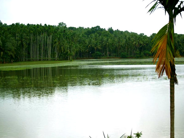 மஞ்சேரி மஞ்சேரி