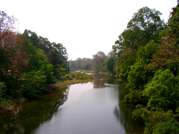நெடுங்காயம் நெடுங்காயம்