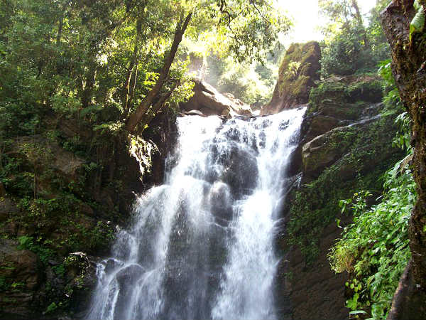ஆர்ப்பரித்துக்கொட்டும் அருவி