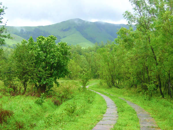 எப்படி அடைவது?