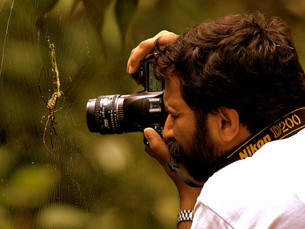 சிலந்தி