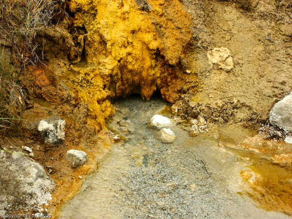 பனாமிக் வெப்ப நீரூற்று