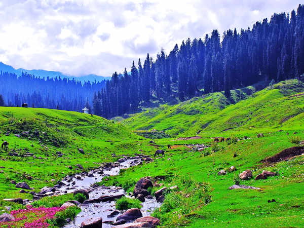 நிங்கல் நல்லா