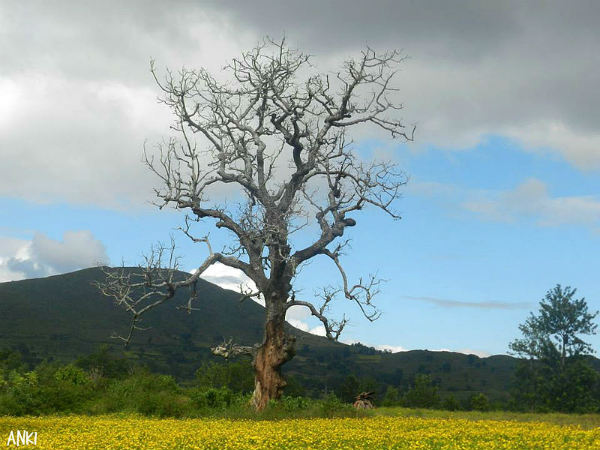 எங்கு தங்கலாம்?