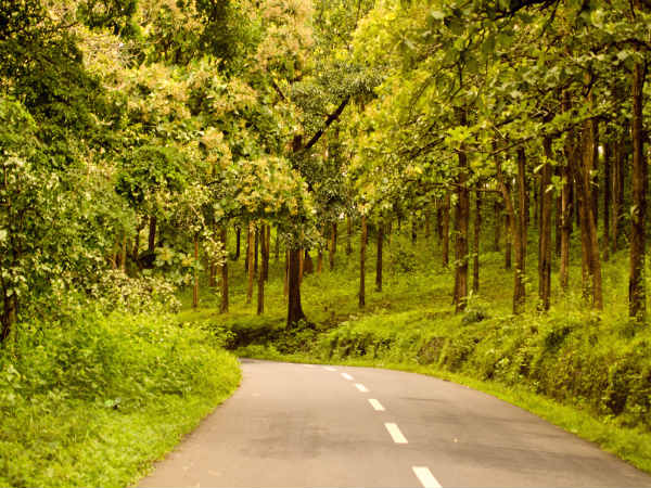 செல்லும் வழி