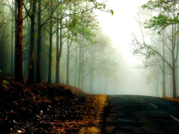 சுல்தான் பத்தேரி