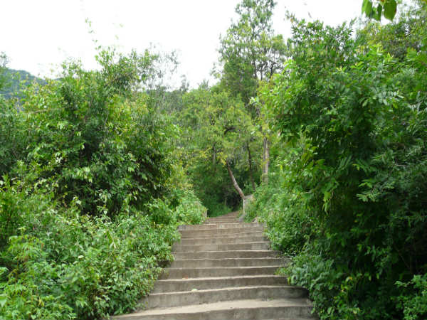 படிக்கட்டுகள்