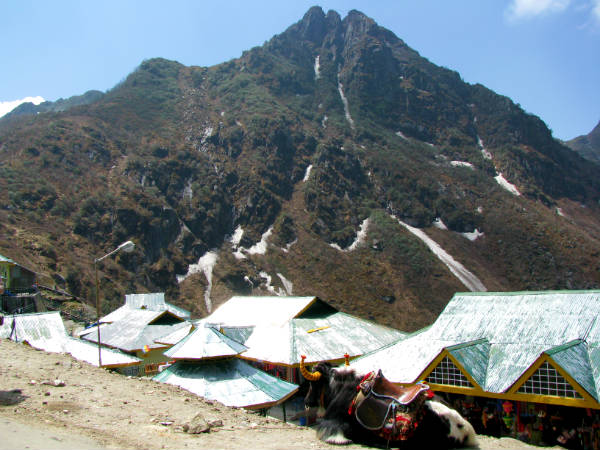 திபெத்திய குடியிருப்பு