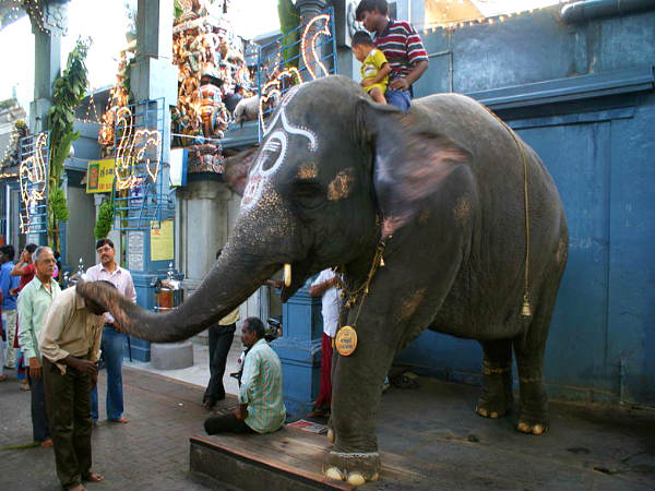 மணக்குள விநாயகர் கோயில், பாண்டிச்சேரி