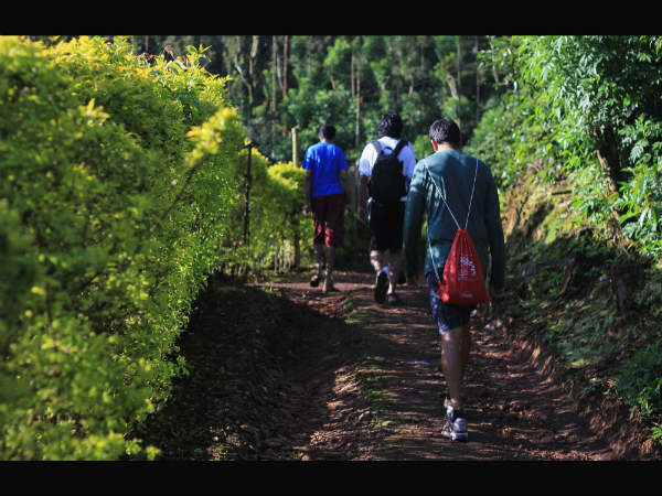 சிக்மகளூர்