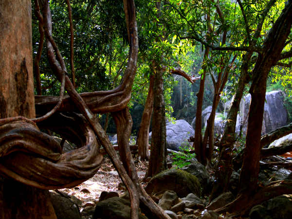 தொம்மன்குத்துவின் சுற்றுப்புறம்