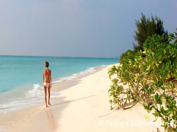 அமினி தீவு