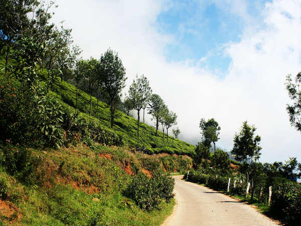 மேட்டுப்பாளையம் டு ஊட்டி சாலைப்பயணம்: மேட்டுப்பாளையம் டு ஊட்டி சாலைப்பயணம்: