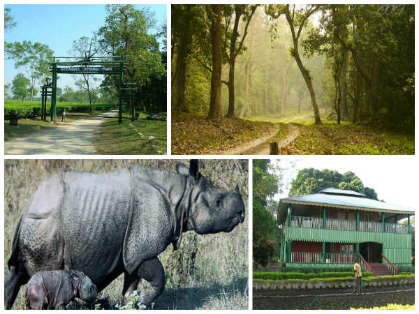  கோருமரா தேசிய பூங்கா - வங்காளத்தின் அற்புதம்! 