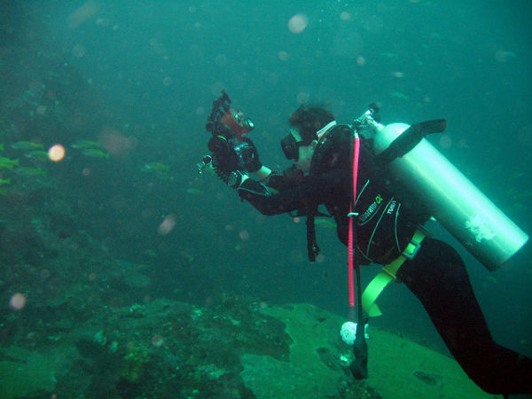 நெத்ரானி தீவு, கர்நாடகா: