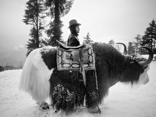 இந்தியாவில் இருக்கும் மிக குளிரான ஐந்து சுற்றுலாத்தலங்கள் 