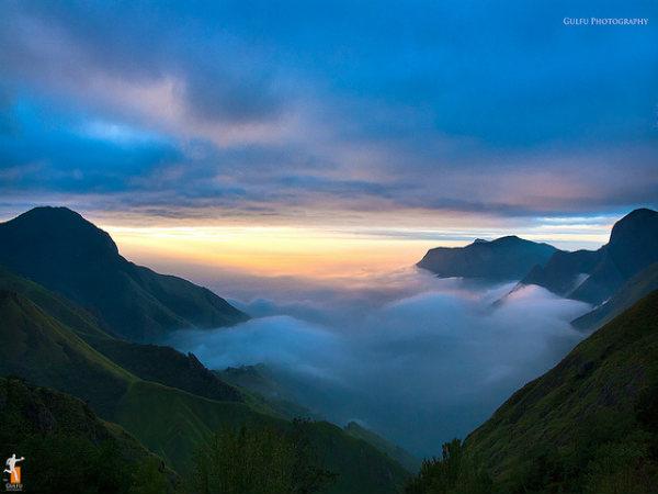 கொலுக்குமலை: 