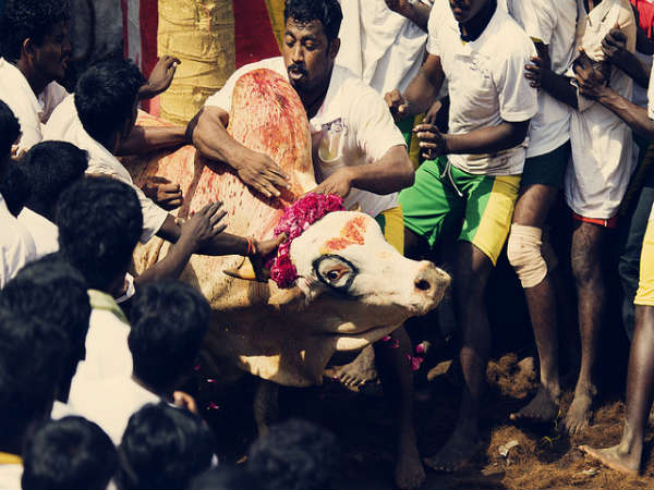 தூங்கா நகரம் - மதுரை : தூங்கா நகரம் - மதுரை :