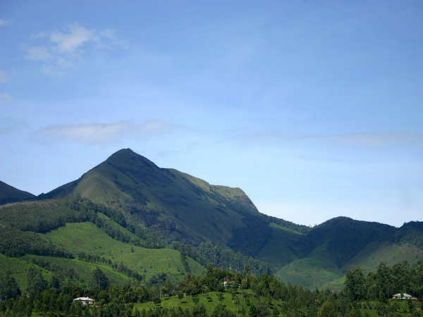 ஆனைமுடி: