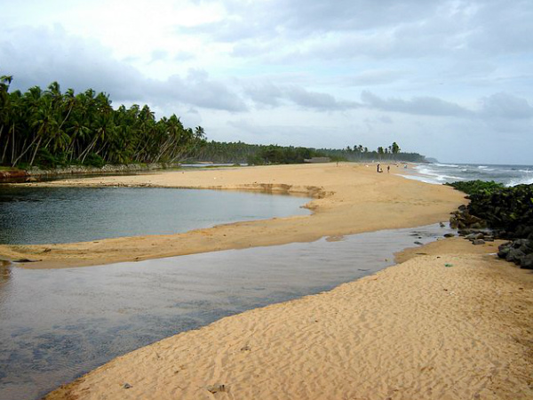 பேக்கள் - கேரளக் கடற்கரையின் அற்புதம் 