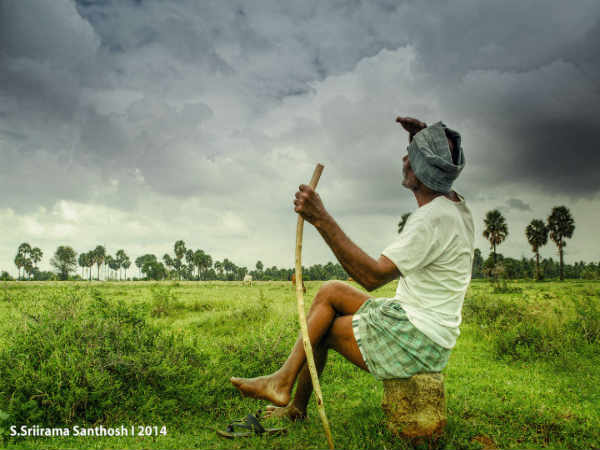 பொள்ளாச்சி : பொள்ளாச்சி :
