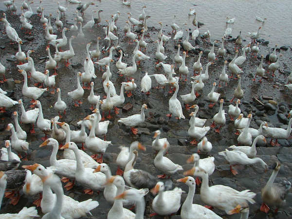  சுக்னா ஏரியின் அழகில் மெய் மறந்திடுங்கள் : 