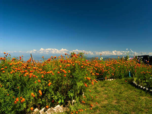 முக்தேஸ்வர் : 