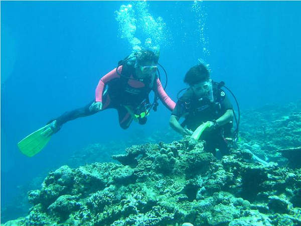 ஸ்குபா டைவிங் : 