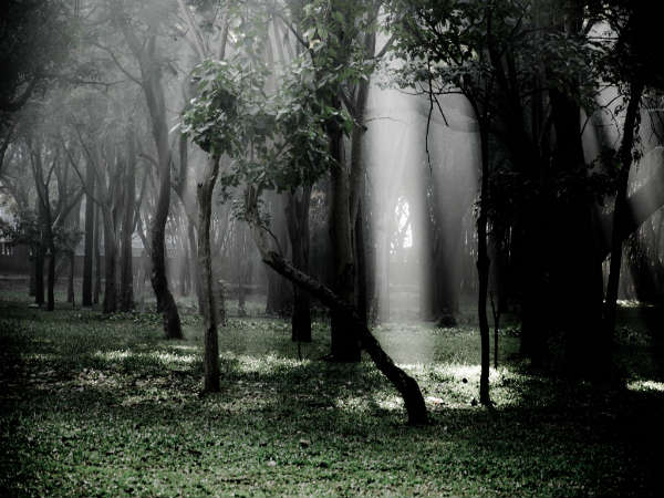 பெங்களுருவில் இருக்கும் முக்கிய சுற்றுலாத்தலங்கள் : 