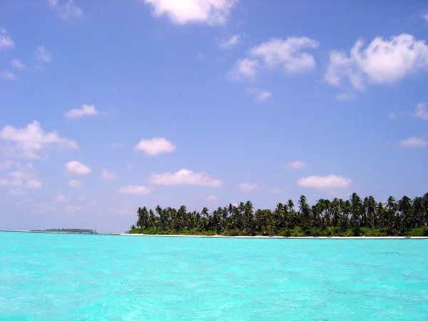 அகத்தி தீவு : அகத்தி தீவு :