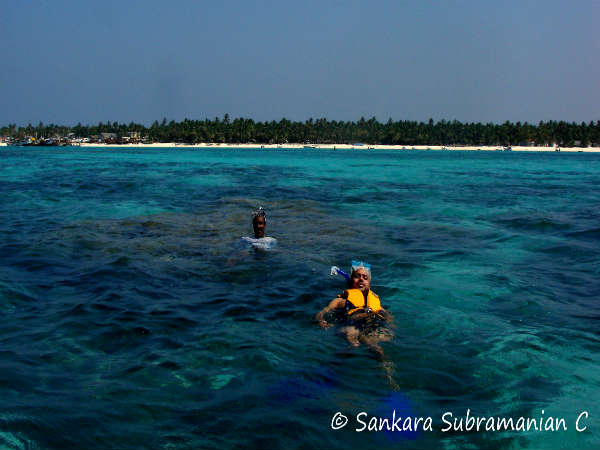 ஏலக்காய் தீவு : 