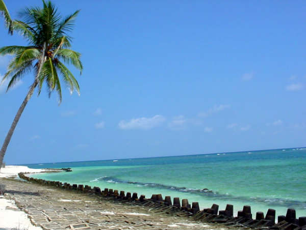 ஏலக்காய் தீவு : ஏலக்காய் தீவு :