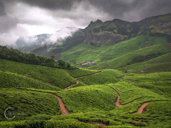 கொலுக்குமலை : 