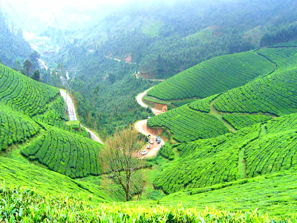 மூணார் : 