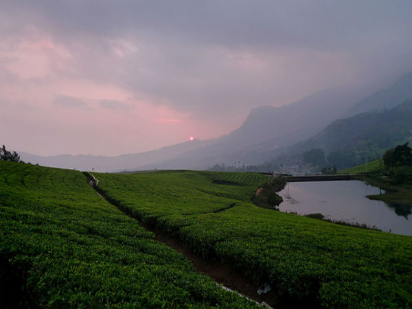 மூணார் : 