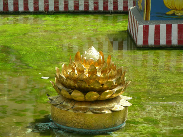 கில்லி - மதுரை : 