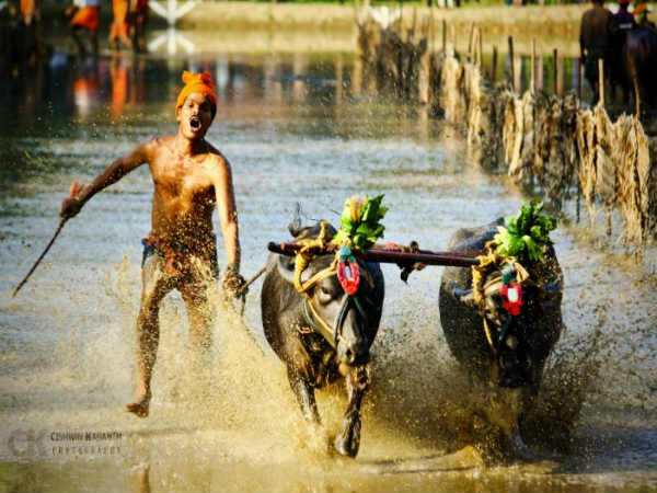 யார் இந்த போட்டிகளை நடத்துகிறார்கள் ? : யார் இந்த போட்டிகளை நடத்துகிறார்கள் ? :