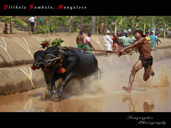 வெற்றி பெற்றால் என்ன பரிசு ? : வெற்றி பெற்றால் என்ன பரிசு ? :