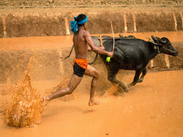 எப்போது நடைபெறும்? : எப்போது நடைபெறும்? :