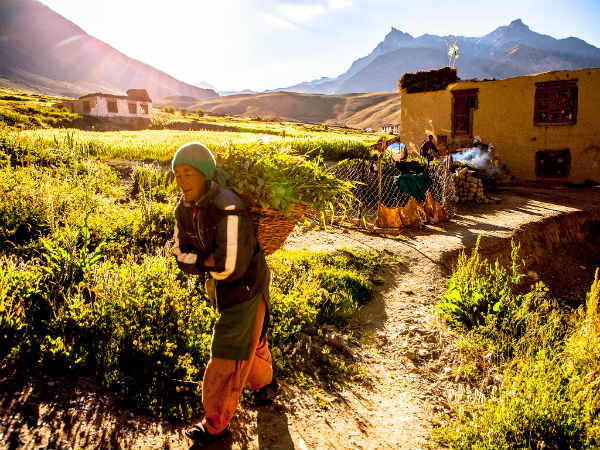 சன்ஸ்கர் :