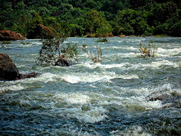  திருநெல்வேலி : 